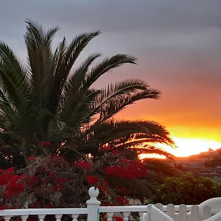 Casaenos Lägenhet Granadilla De Abona Exteriör bild