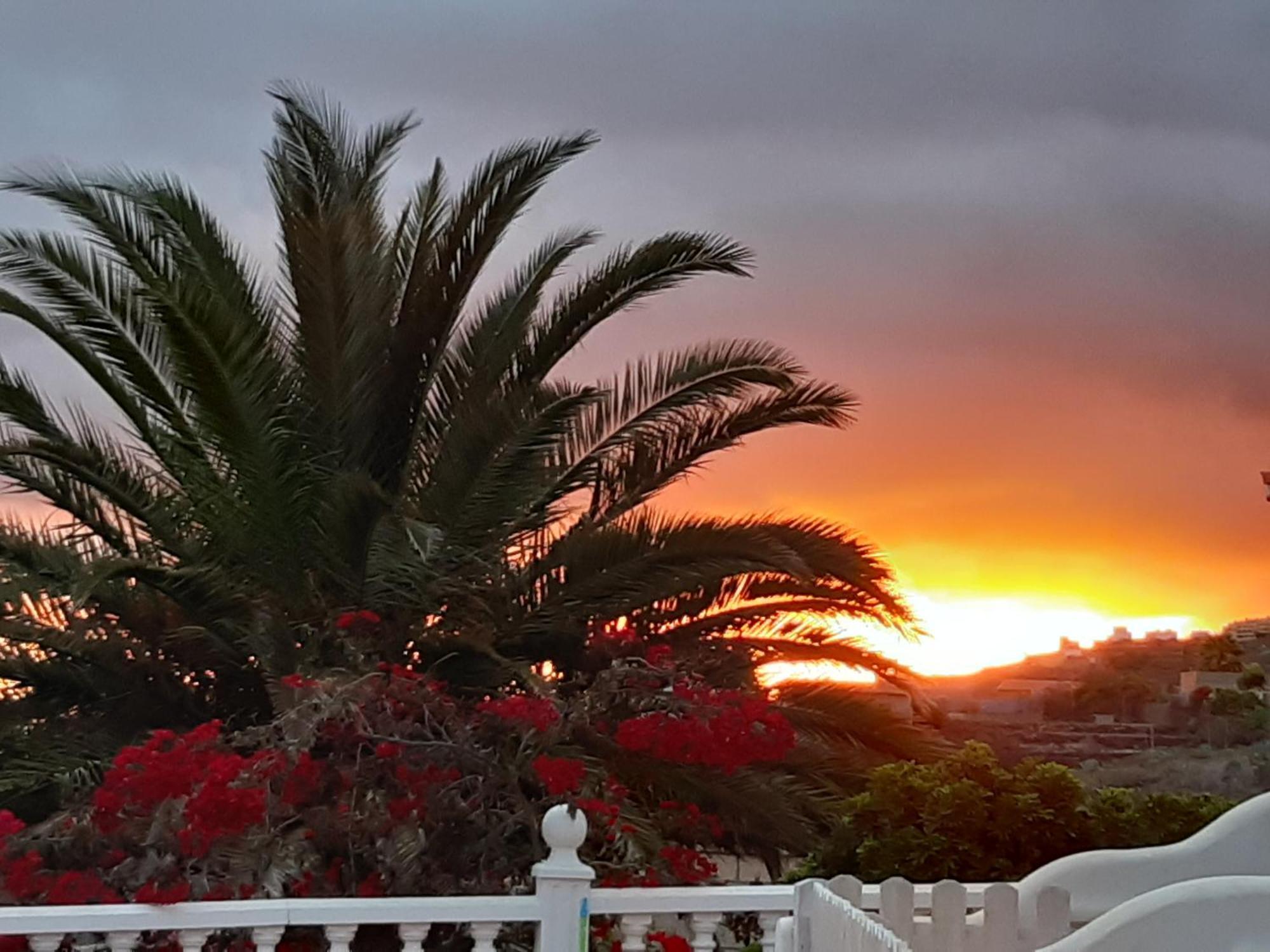 Casaenos Lägenhet Granadilla De Abona Exteriör bild